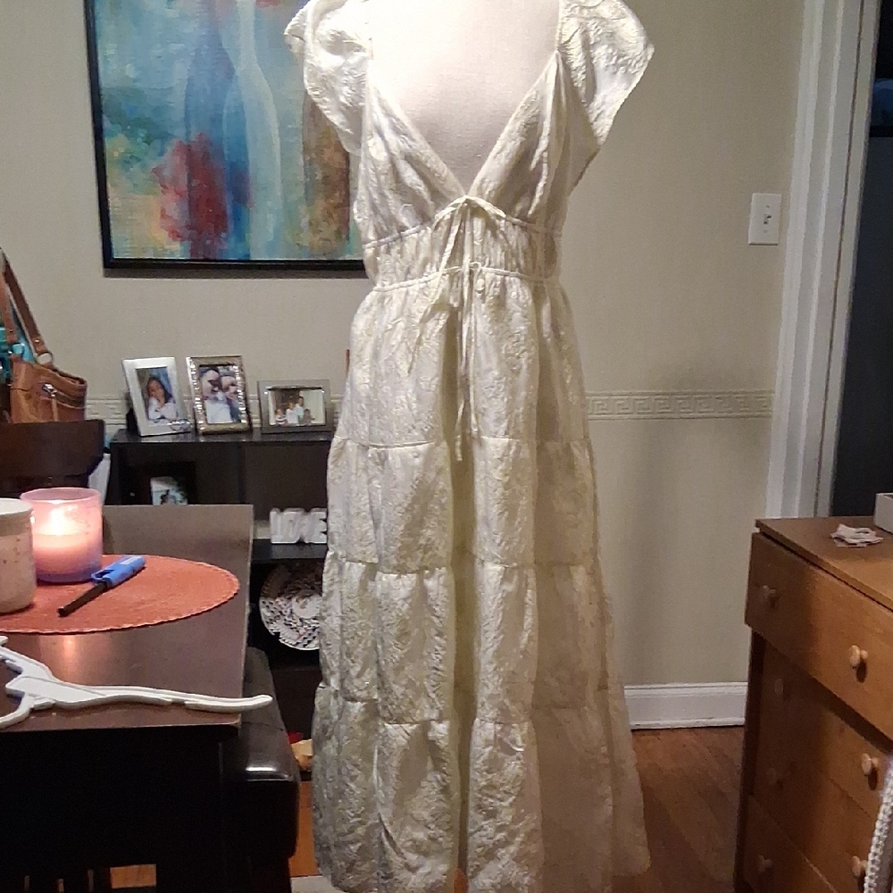 Altar'd State Cream and Gold Dress